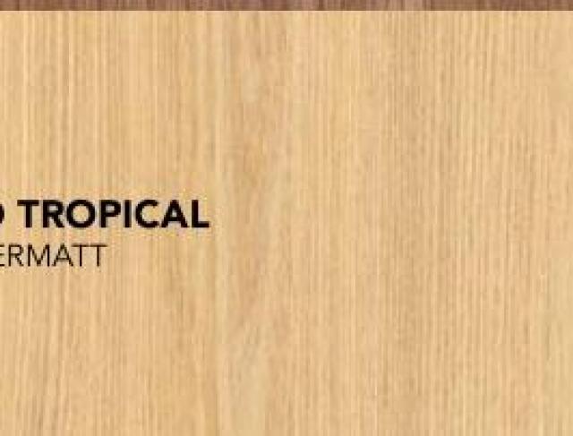 MDF EUCATEX | CARVALHO TROPICAL